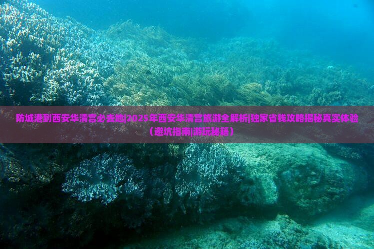 防城港到西安华清宫必去地