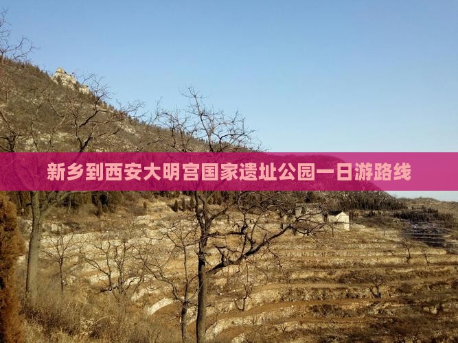 新乡到西安大明宫国家遗址公园一日游