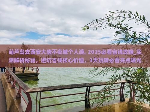 葫芦岛去西安大唐不夜城个人游