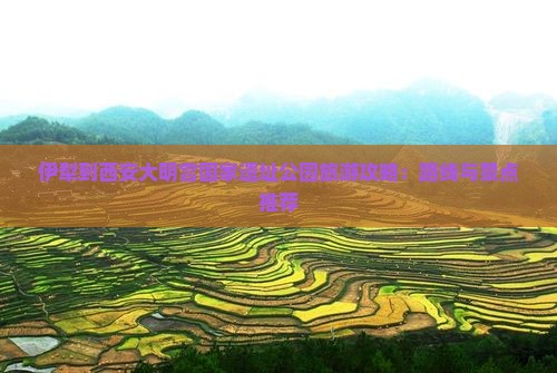 伊犁到西安大明宫国家遗址公园旅游