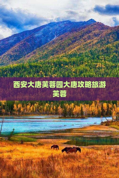 武威到西安大唐芙蓉园攻略