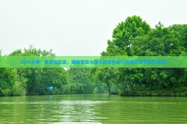 秦皇岛去西安大唐不夜城自由团
