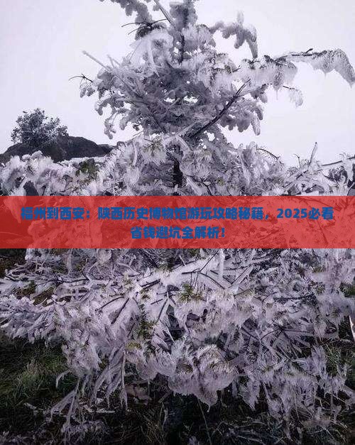 福州到西安陕西历史博物馆哪里玩