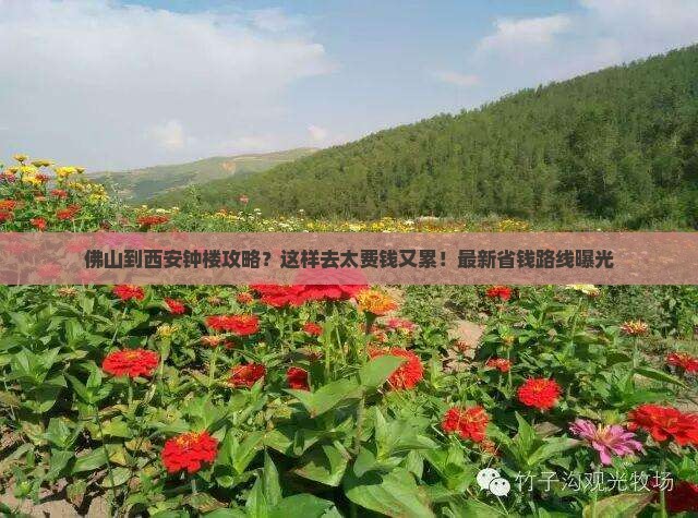 佛山到西安钟楼攻略
