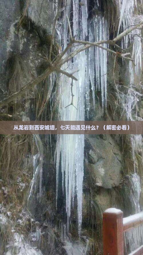 龙岩去西安城墙七日游