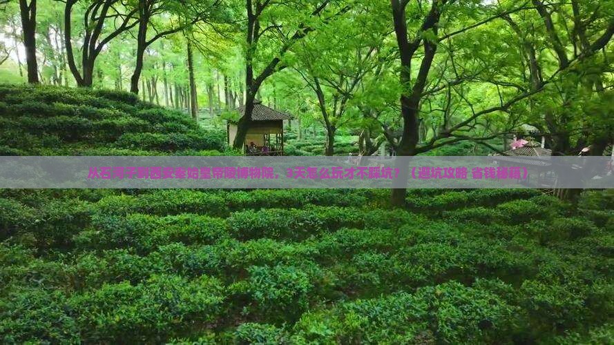 石河子去西安秦始皇帝陵博物院自由行