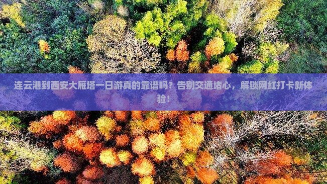 连云港到西安大雁塔一日游