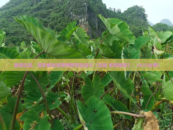 盘锦到西安秦始皇帝陵博物院自由团