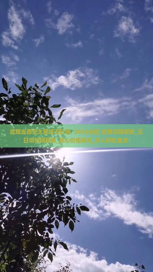 武威去西安大雁塔五日游