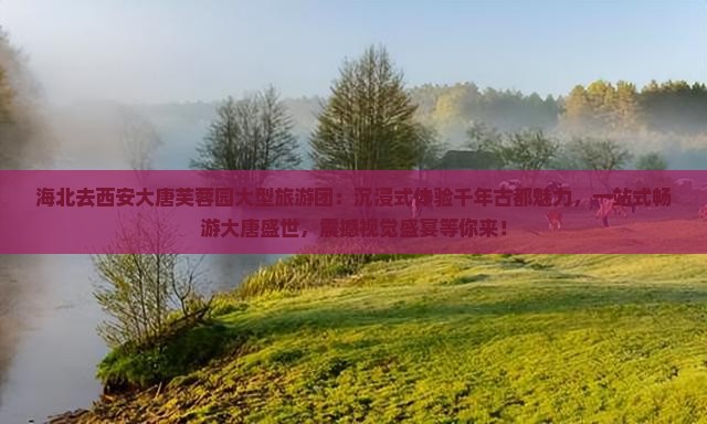 海北去西安大唐芙蓉园大型旅游团