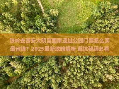 铁岭去西安大明宫国家遗址公园门票