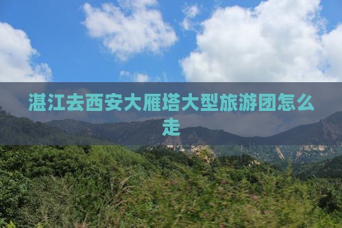 湛江去西安大雁塔大型旅游团