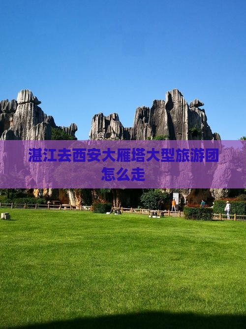 湛江去西安大雁塔大型旅游团
