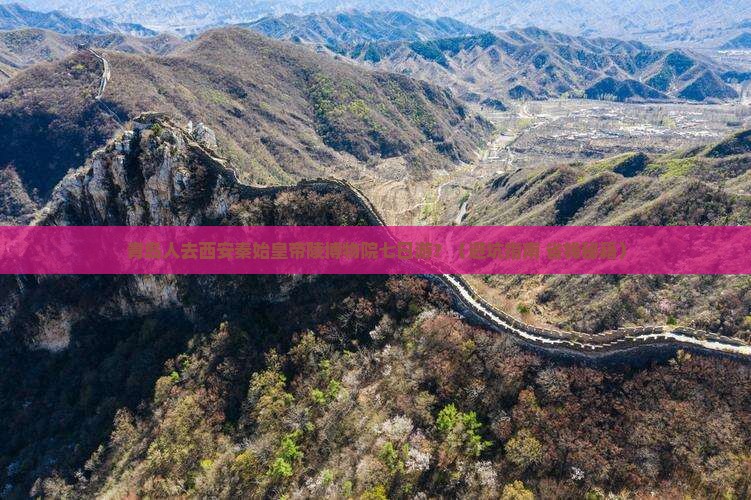 青岛去西安秦始皇帝陵博物院七日游