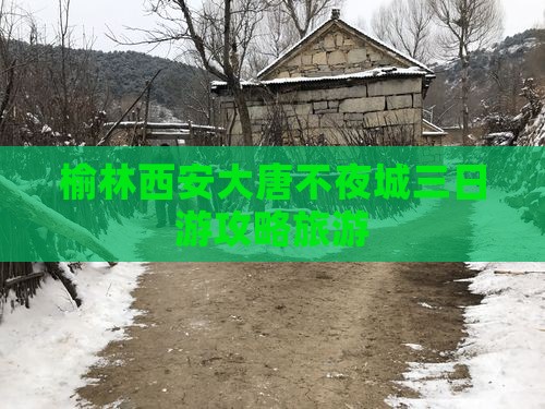 榆林到西安大唐不夜城三日游