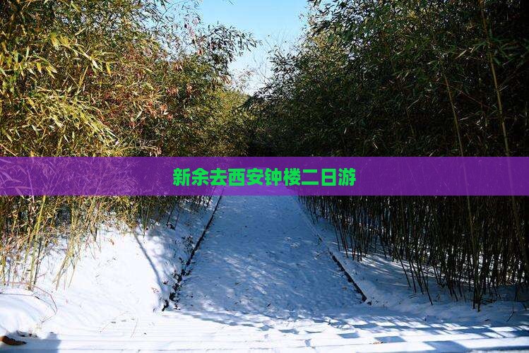 新余去西安钟楼二日游