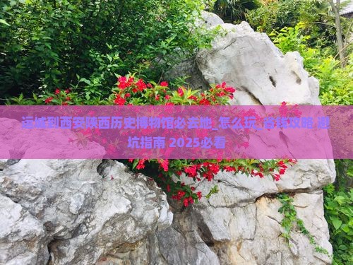 运城到西安陕西历史博物馆必去地 运城到西安陕西历史博物馆必去地