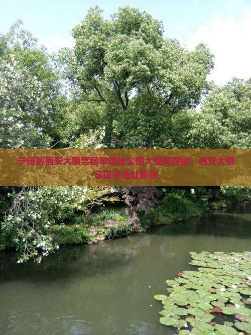 宁德到西安大明宫国家遗址公园大型旅游团