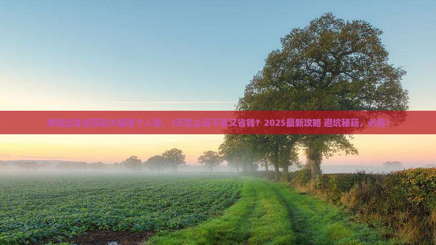 孝感去西安大雁塔个人游