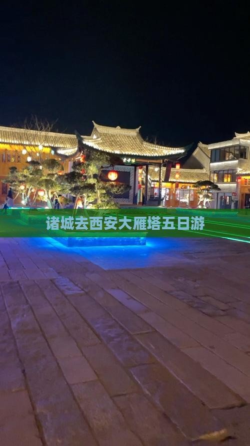 诸城去西安大雁塔五日游