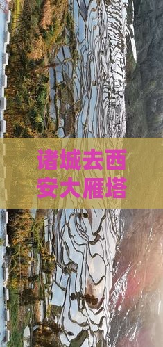诸城去西安大雁塔五日游