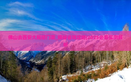 佛山去西安大雁塔门票