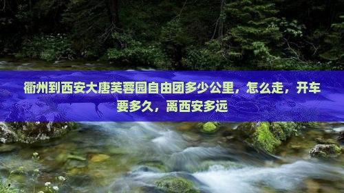 衢州到西安大唐芙蓉园自由团