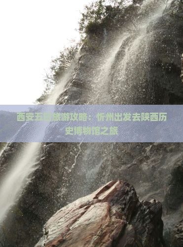 忻州去西安陕西历史博物馆五日游