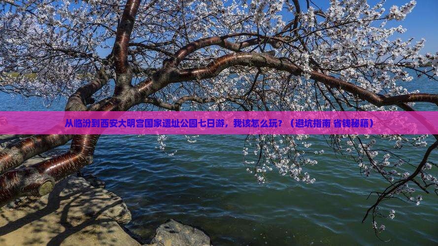 临汾到西安大明宫国家遗址公园七日游