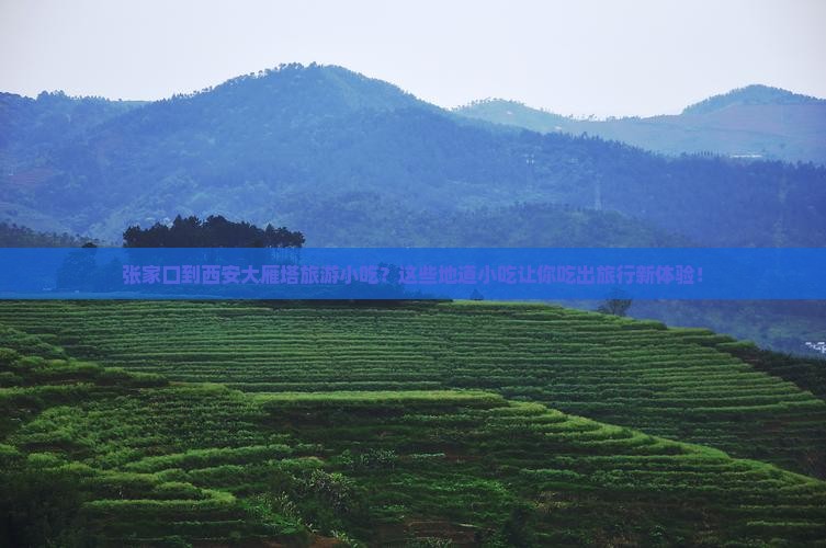 张家口到西安大雁塔旅游小吃