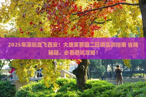 深圳到西安大唐芙蓉园二日游