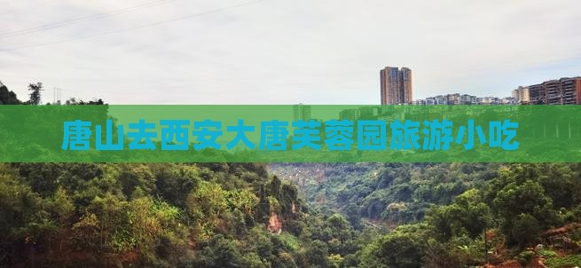 唐山去西安大唐芙蓉园旅游小吃