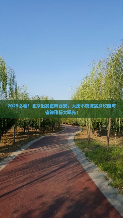 北京到西安大唐不夜城景点