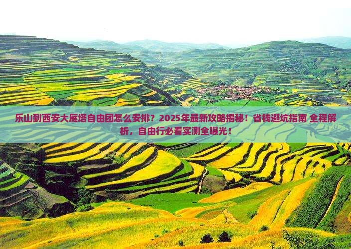乐山到西安大雁塔自由团