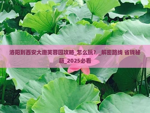 洛阳到西安大唐芙蓉园攻略