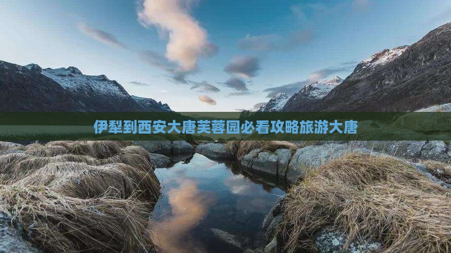 伊犁到西安大唐芙蓉园旅游