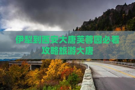 伊犁到西安大唐芙蓉园旅游
