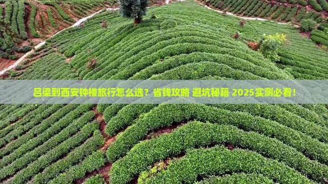 吕梁到西安钟楼旅行社