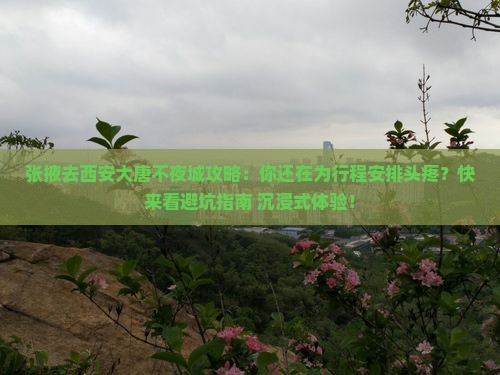 张掖去西安大唐不夜城攻略