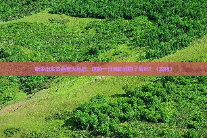新乡去西安大雁塔一日游