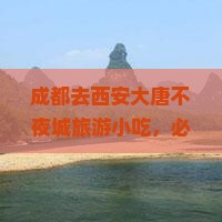 成都去西安大唐不夜城旅游小吃