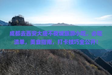 成都去西安大唐不夜城旅游小吃