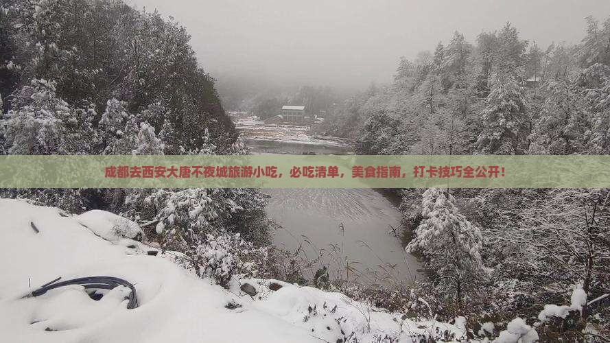 成都去西安大唐不夜城旅游小吃