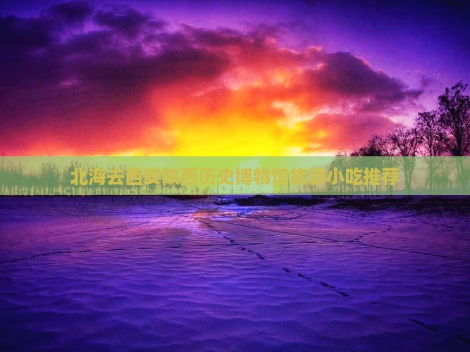 北海去西安陕西历史博物馆旅游小吃