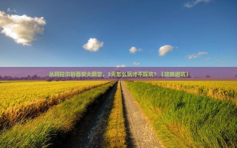 阿拉尔去西安大明宫国家遗址公园自由行