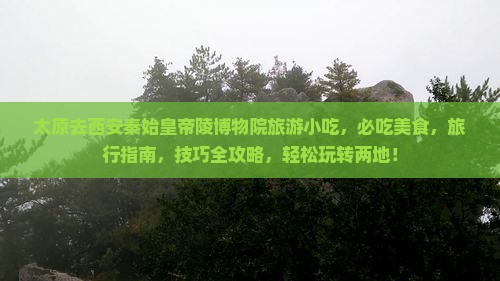 太原去西安秦始皇帝陵博物院旅游小吃