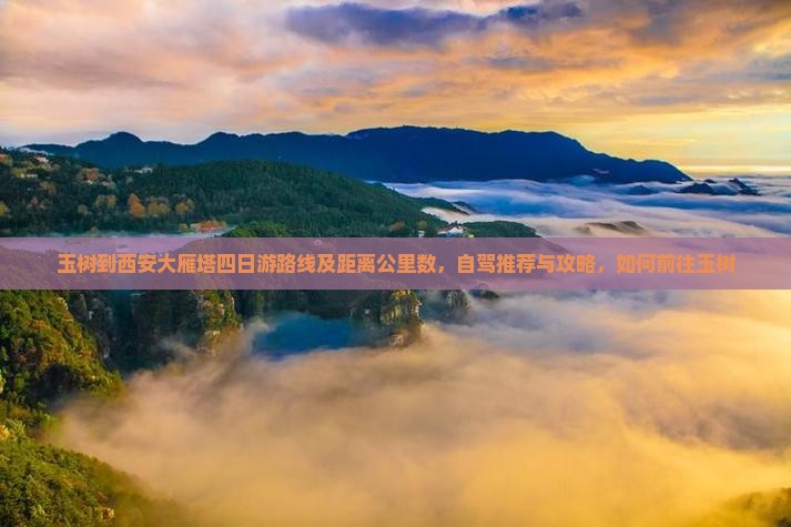 玉树到西安大雁塔四日游