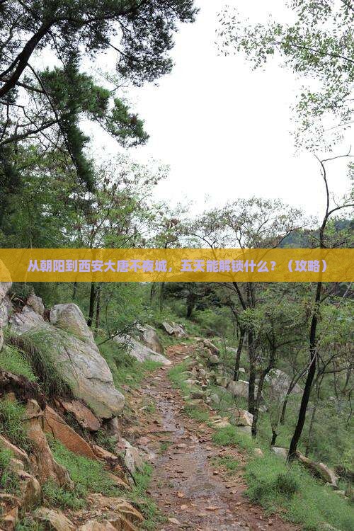 朝阳到西安大唐不夜城五日游