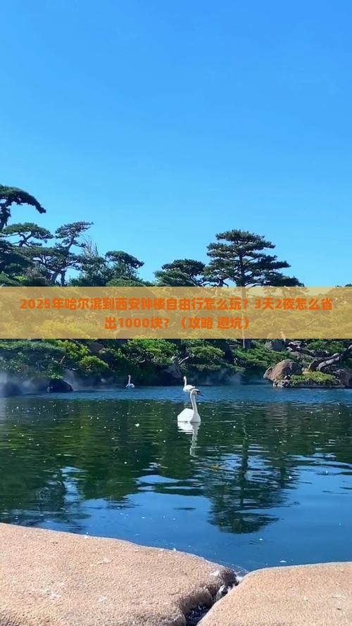 哈尔滨到西安钟楼自由行