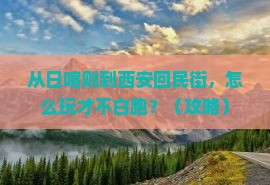 日喀则去西安回民街哪里玩